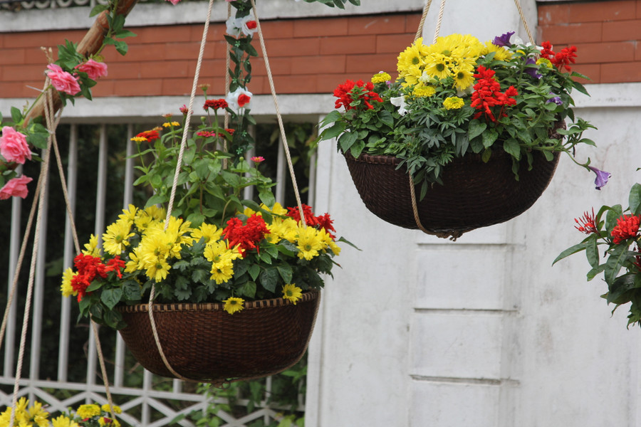 Giỏ hoa được trang trí tạo cảnh quan đẹp cho các tuyến phố TP Vinh.