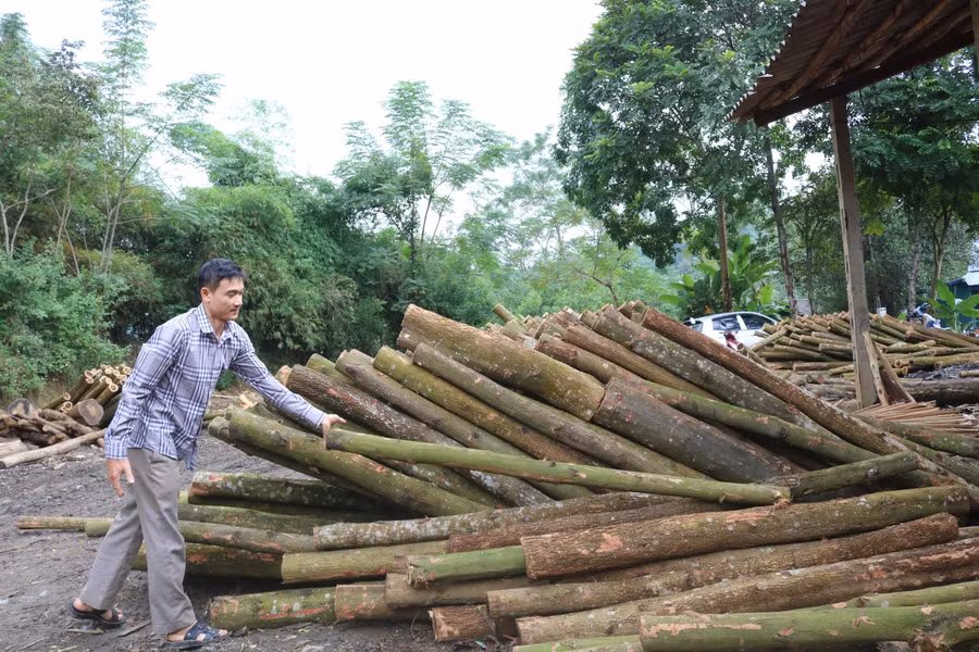 Mở xưởng, khởi nghiệp trên quê hương, với anh Cường không chỉ là thêm thu nhập...