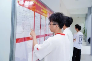 Sinh viên nội trú Trường Đại học Bách khoa - Đại học Đà Nẵng tìm hiểu về các ứng cử viên trước ngày bầu cử.