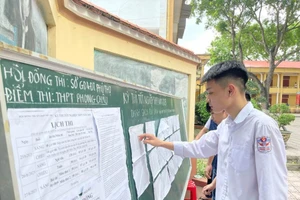 Ảnh minh họa.