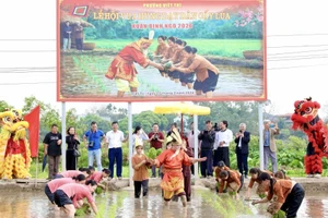 Tái hiện Lễ hội Vua Hùng dạy dân cấy lúa góp phần gìn giữ giá trị di sản “Tín ngưỡng thờ cúng Hùng Vương”.