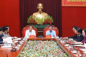 Quang cảnh buổi làm việc.