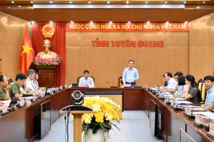 Ông Hoàng Việt Phương - Phó Chủ tịch UBND tỉnh Tuyên Quang (đứng) phát biểu tại buổi làm việc.