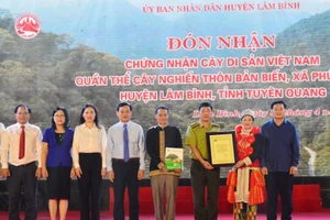 UBND huyện Lâm Bình (tỉnh Tuyên Quang) tổ chức đón nhận chứng nhận Cây di sản Việt Nam quần thể cây nghiến tại thôn Bản Biến, xã Phúc Sơn.