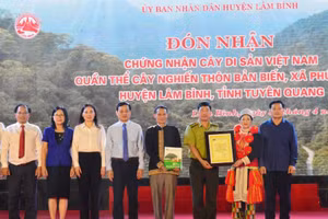 UBND huyện Lâm Bình (tỉnh Tuyên Quang) tổ chức đón nhận chứng nhận Cây di sản Việt Nam quần thể cây nghiến tại thôn Bản Biến, xã Phúc Sơn.