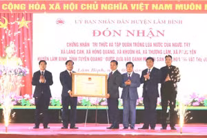 Lãnh đạo UBND huyện Lâm Bình (tỉnh Tuyên Quang) đón chứng nhận di sản văn hóa phi vật thể quốc gia "Tri thức và tập quán trồng lúa nước của người Tày".