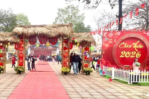 Trường Tiểu học Sơn Đông, hoạt động trải nghiệm “Xuân gắn kết - Tết sum vầy” cho học sinh.