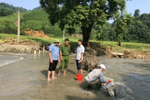 Cơ quan chức năng lấy mẫu xét nghiệm nước tại khu vực ảnh hưởng bởi sự cố. 