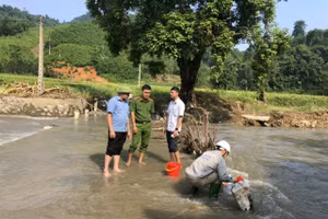 Cơ quan chức năng lấy mẫu xét nghiệm nước tại khu vực ảnh hưởng bởi sự cố. 