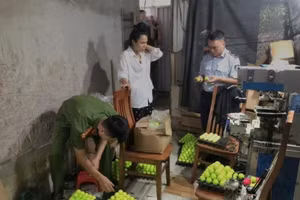 Số hàng hóa bị Cục quản lý thị trường tạm giữ.