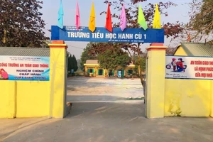 Trường Tiểu học Hanh Cù 1 (huyện Thanh Ba, tỉnh Phú Thọ) đã tạm dừng CLB Toán, CLB tiếng Việt, CLB tiếng Anh sau giờ học chính thức từ ngày 12/2/2025 (ảnh trường TH Hanh Cù 1).