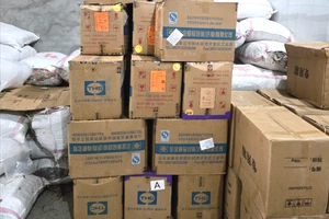 Hình ảnh tại quá trình kiểm tra (ảnh: CAPT)