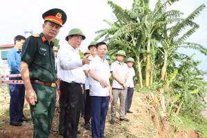 Ông Trần Duy Đông, Chủ tịch UBND tỉnh Phú Thọ kiểm tra khu vực sạt lở ở xã Tam Nông.