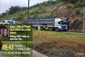 Lực lượng chức năng kiểm tra xe ô tô chở lợn (ảnh Đỗ Trung).