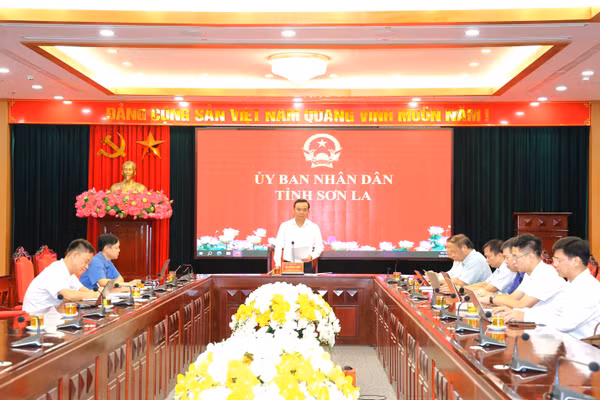 Hội nghị sắp xếp lại các trường học được tổ chức trực tiếp kết hợp trực tuyến.