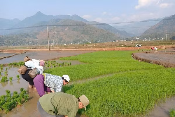 Nhờ làm tốt công tác xoá nghèo, đời sống của người dân xã Yên Châu ngày càng nâng cao.