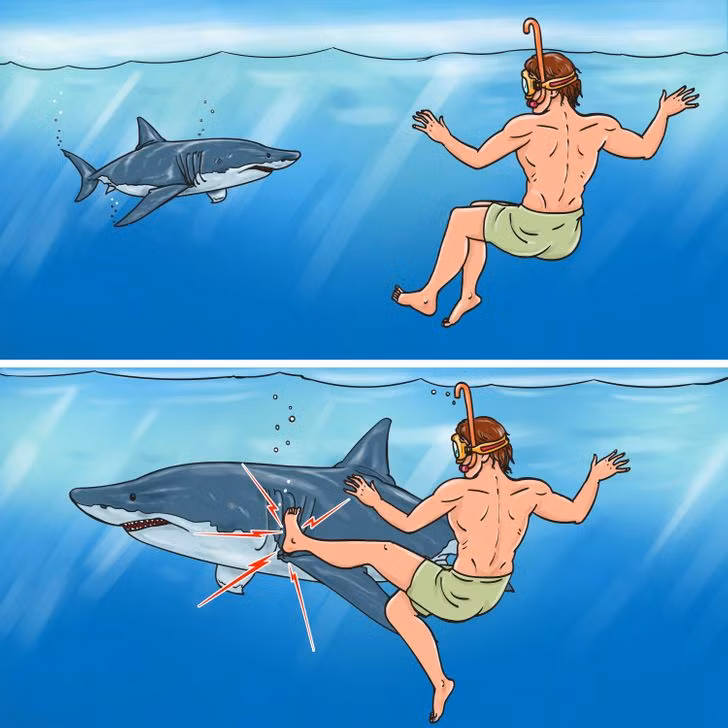 10 Tips That Could Help You in Emergency Situations