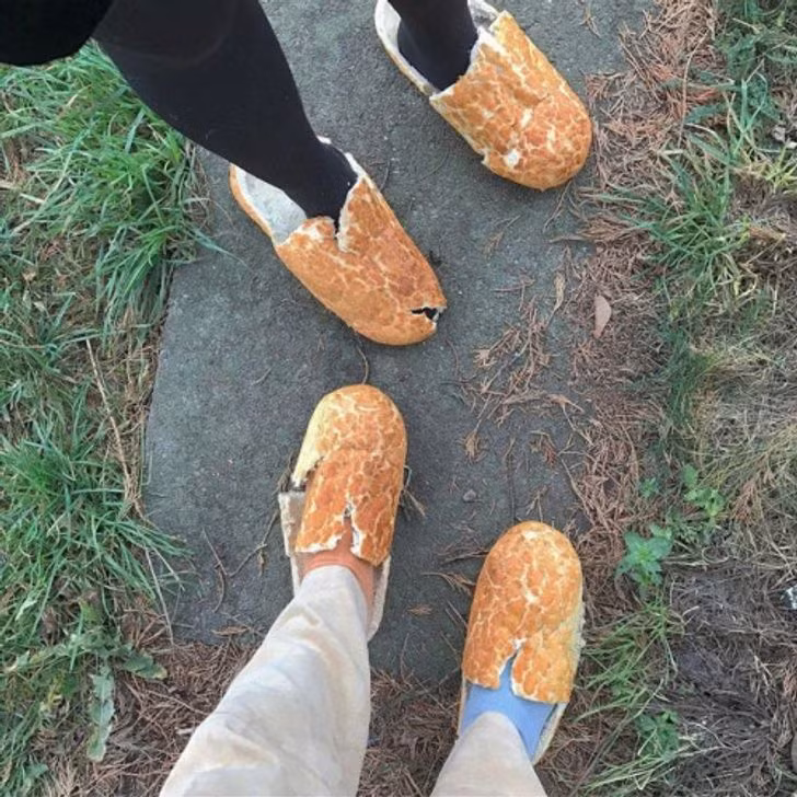 19 Strange Sights That Will Make Anyone Raise an Eyebrow