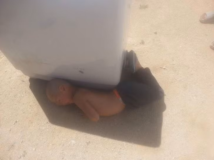 20&nbsp;Pictures Proving Hot Weather Gets Even to&nbsp;the Best of&nbsp;Us