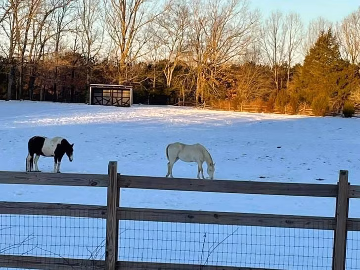 20 Pics That’ll Easily Play Tricks on Your Eyes