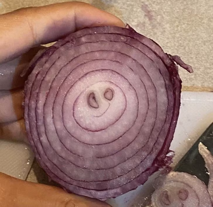 18 Times Life Was Playful and Confused Us With Coincidences