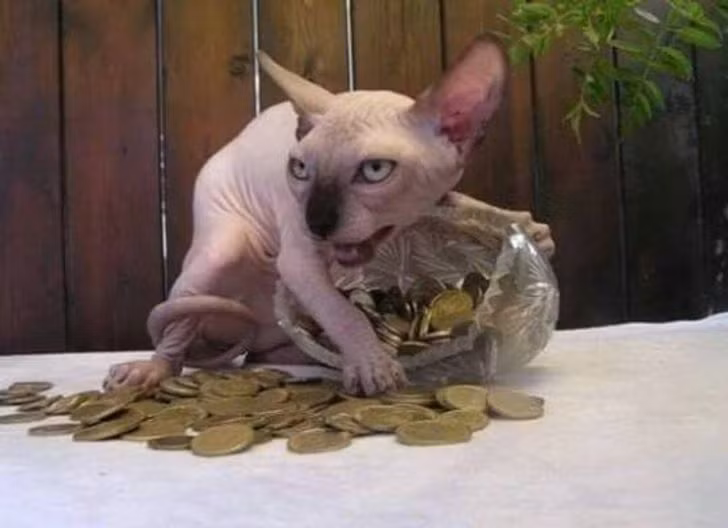 19 Strange Sights That Will Make Anyone Raise an Eyebrow