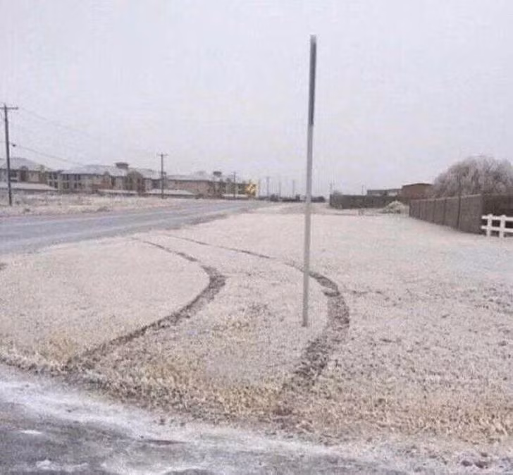 19 Strange Sights That Will Make Anyone Raise an Eyebrow