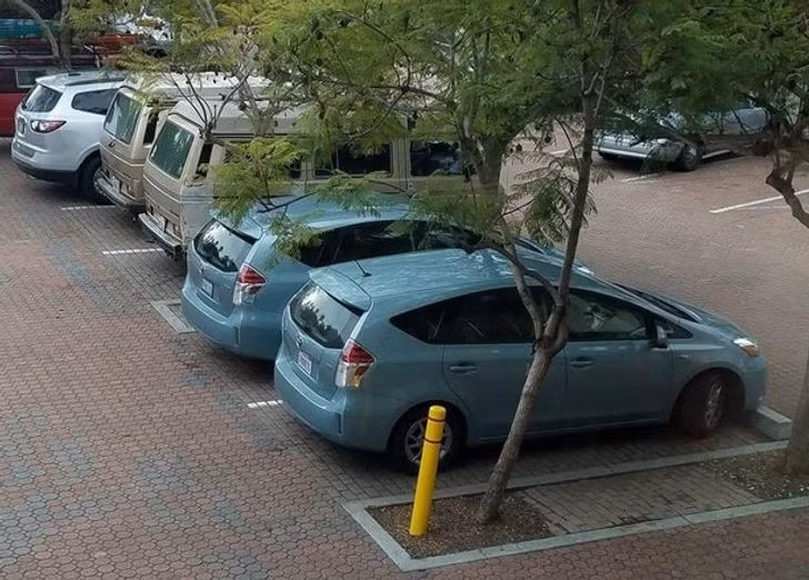 15 Rare Coincidences That Can Only Happen Once in a Lifetime