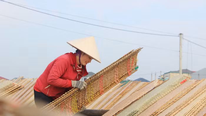 Hà Tĩnh đặt mục tiêu đào tạo hơn 10.000 lao động nông thôn giai đoạn 2026-2030.