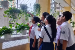 Một góc không gian xanh của Trường THCS-THPT Trần Đại Nghĩa.