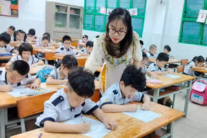 Giờ học của Trường tiểu học Lê Văn Tám (quận Tân Phú).