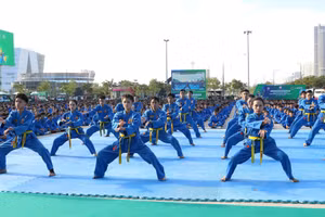 Mở màn phần đồng diễn là phần biểu diễn võ thuật của các vận động viên chuyên nghiệp.