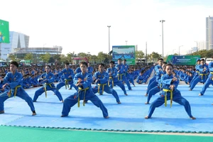 Mở màn phần đồng diễn là phần biểu diễn võ thuật của các vận động viên chuyên nghiệp.