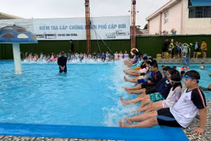 Học sinh Tiểu học TPHCM tham gia học bơi.