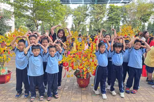 Cô trò Trường Tiểu học Lê Văn Việt (phường Tăng Nhơn Phú, TPHCM) trang trí cây mai.