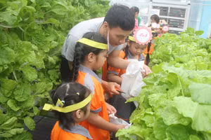 Hoạt động trải nghiệm của trẻ Trường mầm non Tân Phong.