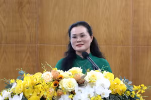 Bà Lê Thụy Mỵ Châu phát biểu tại hội thảo.