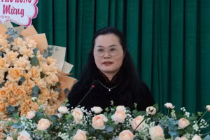 Bà Lê Thụy Mỵ Châu phát biểu tại buổi sơ kết.