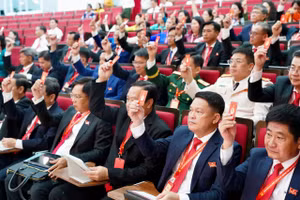 Các đại biểu tham dự Phiên trù bị, Đại hội đại biểu Đảng bộ TPHCM lần thứ I. Ảnh: BTC.