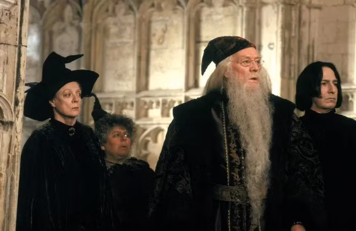 Tuy nhiên, vai diễn thầy hiệu trưởng Albus Dumbledore đáng kính trong loạt phim Harry Potter là nổi bật nhất. Ông lột tả thành công hình ảnh nhân vật thông thái, bao dung nhưng quyết đoán. Hình ảnh đời thường của 'cụ Dumbledore' trong phim Harry Potter