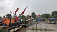 4-be-mang-cua-nguoi-dan-xa-ven-bien-hoang-thanh-thanh-hoa-duoc-dua-len-bo-de-tranh-bao.jpg
