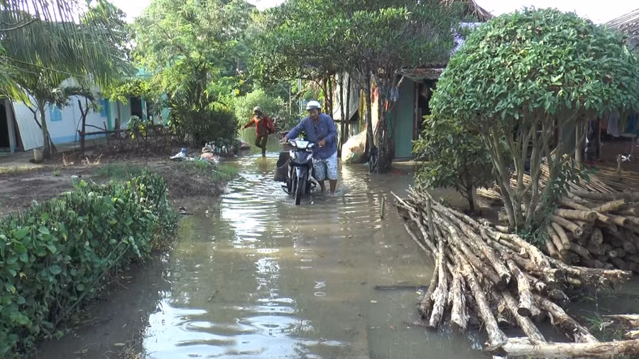 dbscl-ung-pho-trieu-cuong-3.jpg