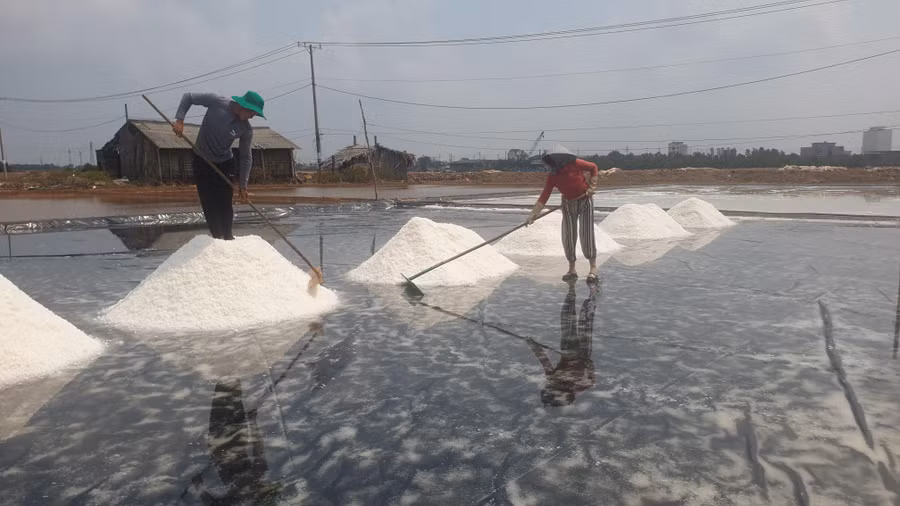 Festival nghề muối Việt Nam - Bạc Liêu năm 2024 có nhiều hoạt động quan trọng