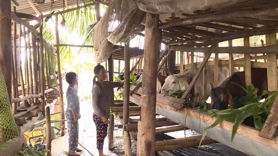 Cà Mau nỗ lực giảm nghèo bền vững