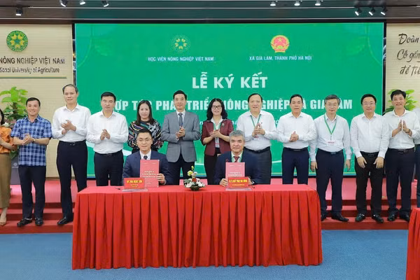 GS.TS Nguyễn Thị Lan, ông Nguyễn Việt Hà, cùng lãnh đạo Học viện Nông nghiệp Việt Nam, xã Gia Lâm chứng kiến lễ ký kết giữa hai đơn vị.