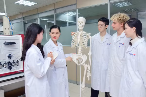 Siết chuẩn đào tạo khối ngành sức khỏe và pháp luật