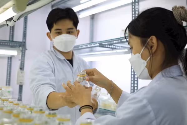 Sinh viên Trường ĐH Công Thương TP Hồ Chí Minh trong giờ học thực hành. Ảnh: Công Chương.