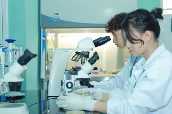 Sinh viên Học viện Nông nghiệp Việt Nam.