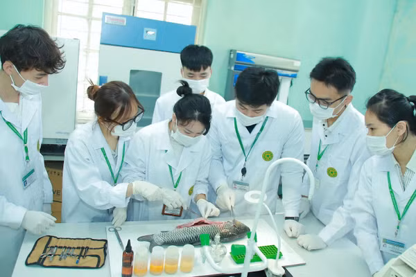 Sinh viên Học viện Nông nghiệp Việt Nam thực hành trên cá.