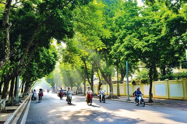 Ảnh minh hoạ.
